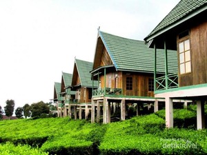 Roadtrip Mantap dan Seru Menuju Pagaralam
