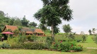 Suasana asri Kebun Mawar (Arina Yulistara - wolipop)