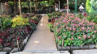 Kebun bunga yang indah (Arina Yulistara - wolipop)