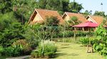 Romantis! Menginap di Tengah Kebun Mawar