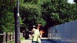 Romantisnya Gembok Cinta di Namsan Tower, Seoul