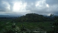 Cantiknya perbukitan dengan eloknya persawahan nan hijau