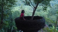 Rumah Pohon berbentuk sangkar burung, sangat unik