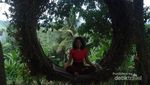 Rumah Pohon yang Instagenik di Bali