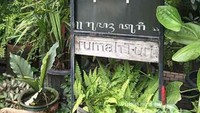 Logo Rumah Turi