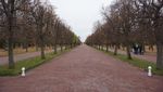 Rusia Punya Istana Ala Versailles dari Prancis