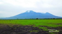 Dari Savana Bekol akan terlihat pemandanan ke Gunung Baluran