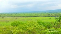 Taman Nasional Baluran, serpihan kecil Africa van Java