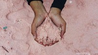 Jagalah pantai ini agar tetap berwarna pink. Janganlah dibawa pulang.