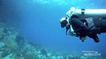 Saat Para Penjaga Terumbu Karang Raja Ampat Berlatih