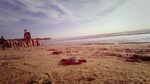 Saat Puluhan Anak Penyu Dilepas di Pantai Kuta