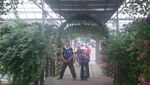 Saatnya Memanjakan Mata di Taman Bunga Nusantara