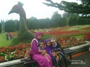 Saatnya Memanjakan Mata di Taman Bunga Nusantara