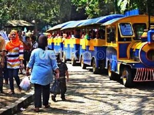 Saatnya Mengajak Si Buah Hati Mengenal Hewan