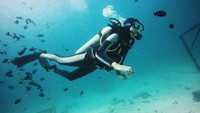 Diving di Pulau Rubiah