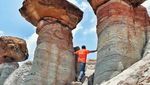 Sabu, Pulau di Indonesia yang Tidak Terima Uang Koin