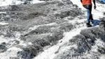 Sabu, Pulau di Indonesia yang Tidak Terima Uang Koin
