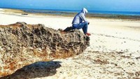 Pantai Cemara