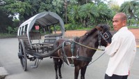 Calesa yang mengantar kami keliling taman di bagian luar Fort Santiago