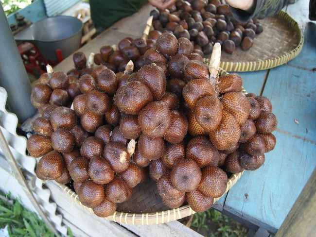 Salak Pondoh yang Gurih dari Turi, Yogyakarta
