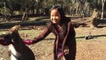 Salaman dengan Kanguru di Gumeracha, Australia