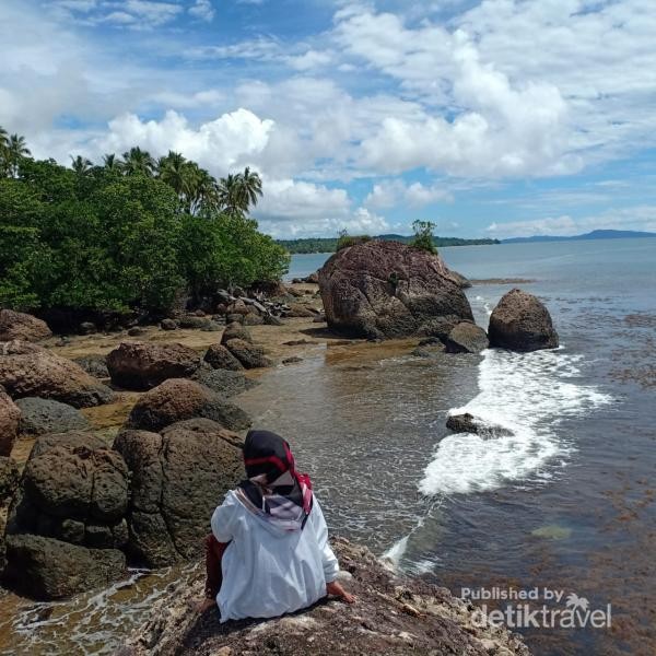 Selain batu, pantai ini juga dipenuhi hutan manggrove dan pohon kelapa