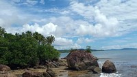 Selain batu, pantai ini juga dipenuhi hutan manggrove dan pohon kelapa