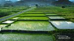 Sambut 2015 dengan Pemandangan Terindah di Lembah Harau