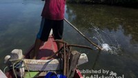 Hutan bakau pintu masuk Pulau Sangiang