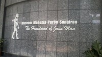 Museum Sangiran