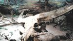 Sangiran, Museum Purbakala yang Jadi Warisan Dunia