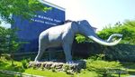 Sangiran Punya 5 Museum yang Bisa Kamu Kunjungi dalam Sehari