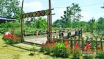 Sangiran Punya Kebun Bunga Secantik Ini