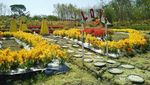 Sangiran Punya Kebun Bunga Secantik Ini