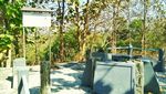Sangiran Punya Kebun Bunga Secantik Ini