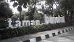 Santai Dulu di Taman Bungkul Surabaya