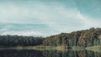 Danau yang asri nan hijau.