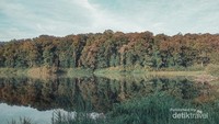 Landscape  Danau Tambing