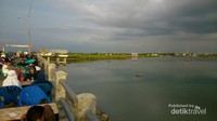 Pemandangan  kuala dan pohon bakaunya!