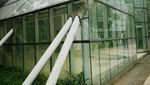 Santai Sore saat Weekend, Yuk Coba ke Taman Menteng!