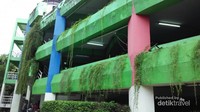 Taman ini dilengkapi bangunan parkir yang memadai dan tanaman di dindingnya menambah keasrian dari taman ini.