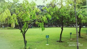 Santai Sore saat Weekend, Yuk Coba ke Taman Menteng!