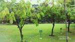 Santai Sore saat Weekend, Yuk Coba ke Taman Menteng!