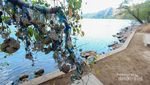 Satonda, Si Mungil Cantik dari Sumbawa