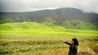 Padang savana di Bukit Teletubbies