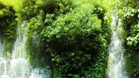 Ini dia air terjun kembarnya