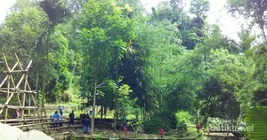 Satu Lagi Destinasi di Banyuwangi: Air Terjun Jagir