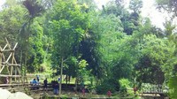 Begini kira-kira suasana disekitar air terjun, asri ya