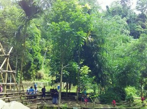 Satu Lagi Destinasi di Banyuwangi: Air Terjun Jagir