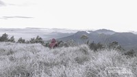 hanya menikmati keindahan semesta